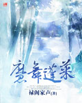快手永久粉丝软件