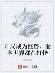 正道的光现场版