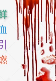 小狂穿越系列全文