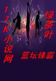 少年包青天4
