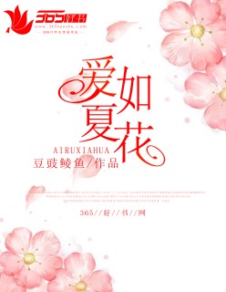芈月传81集全集免费版观看
