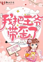 张柏芝艳阳门无删照片图组