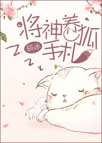 大脸猫图片