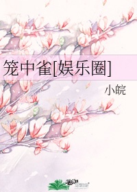 小蝌蚪视频