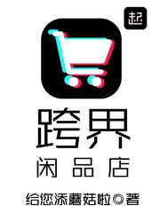审计长