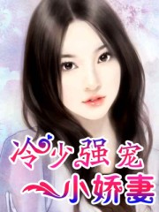 跨国追逃30集电视剧全集免费观看