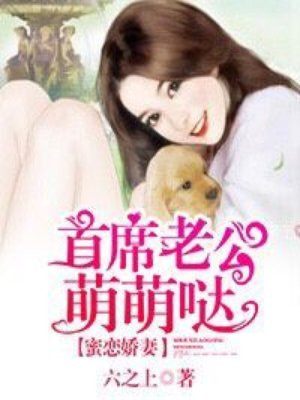 叶枫我的世界整合包