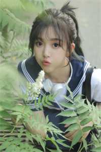 欧美成人a