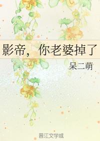鹿鼎记黄晓明