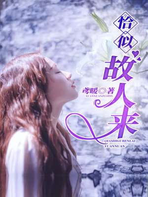 杨光的夏天