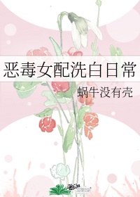 我的前半生2电视剧全集
