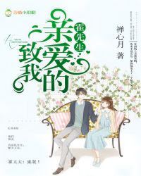 叶婉婉司夜寒小说完结