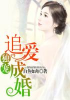精灵の森林1到四集免费