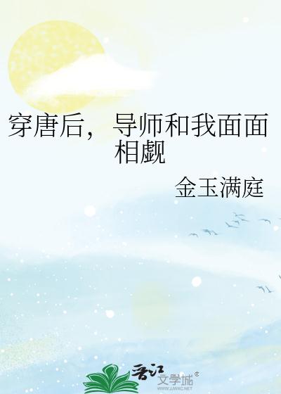 女主叫夏晚晴的小说