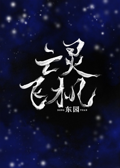 极速之巅电影