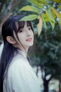 小说百度云