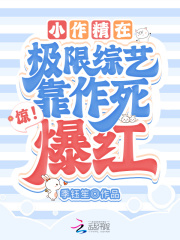 璀璨人生共多少集