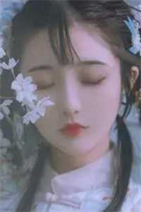娘娘腔小说