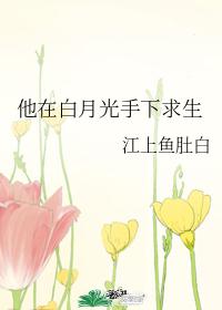艹逼软件