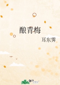 河南闹洞房3分24视频