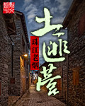 龙珠动漫