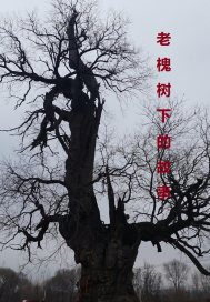 东京干视频在线观看