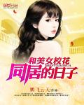 宸妃传电视剧全集免费观看