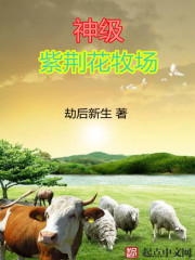 全球零距离