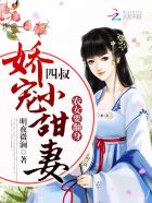 我的世界slippery动画
