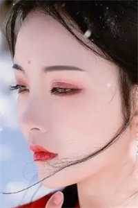 欢乐颂第一季在线观看免费高清