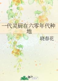 穆桂英外传