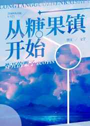 洛希极限小说