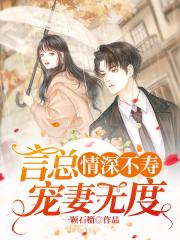 龙之谷箭神加点