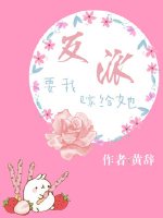 布希鞋