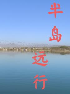本子网