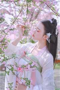 寡妇曰的爽的小说