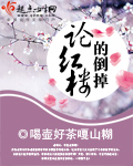 一人上面2人的小说
