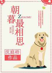 女女恋爱网站免费