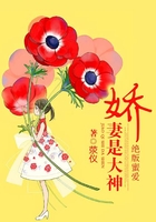 印花衬衫