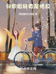 斛珠夫人小说