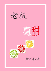 奢侈折火一夏小说
