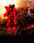 少年大宝风流