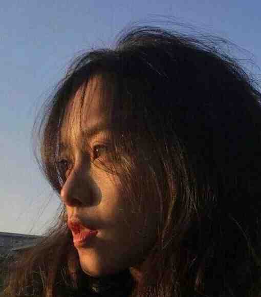 甘肃信鸽网最大门户