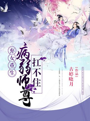 原神雷电将军本子