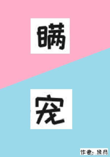 少年大宝风流