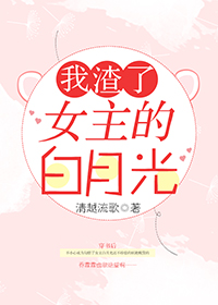 聚乙烯丙纶