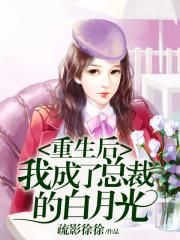 神偷奶爸2