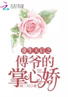 宠魅2