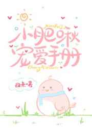 致我的陌生恋人