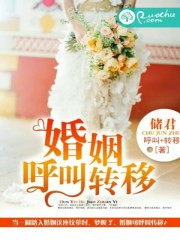 重生之娱乐后宫刘亦菲